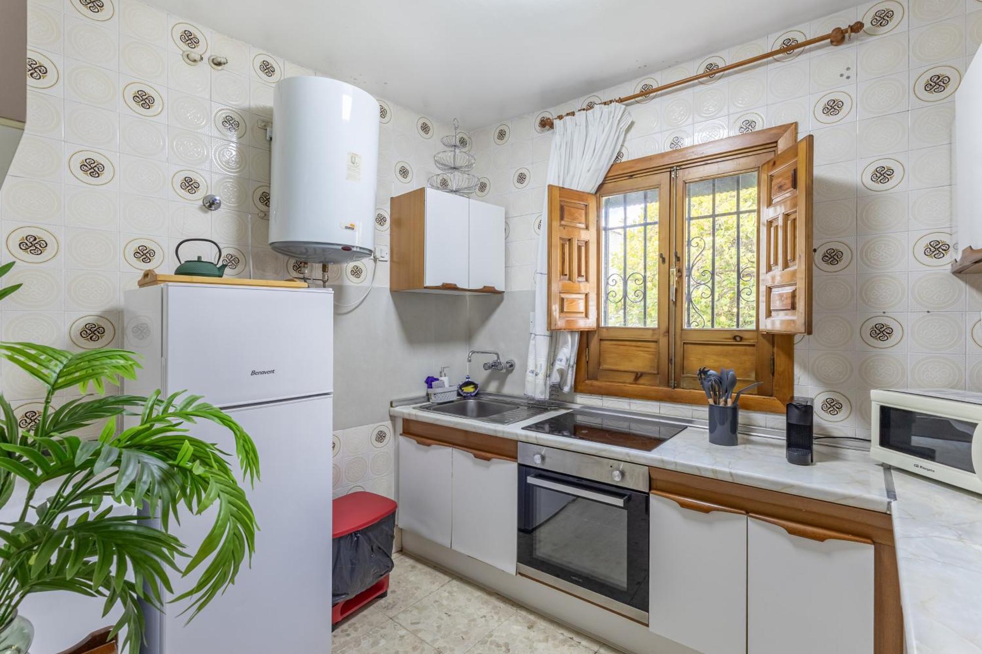 Carmen de la Sultana una planta entera Granada Exterior foto